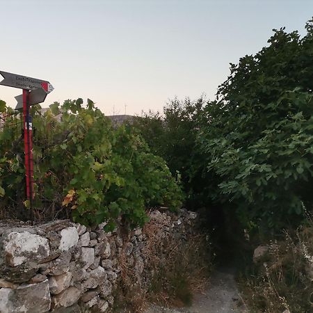 Appartement Naxos Mountain Retreat - Tiny House Build On Rock à Koronos Extérieur photo