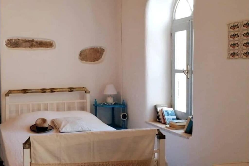 Appartement Naxos Mountain Retreat - Tiny House Build On Rock à Koronos Extérieur photo