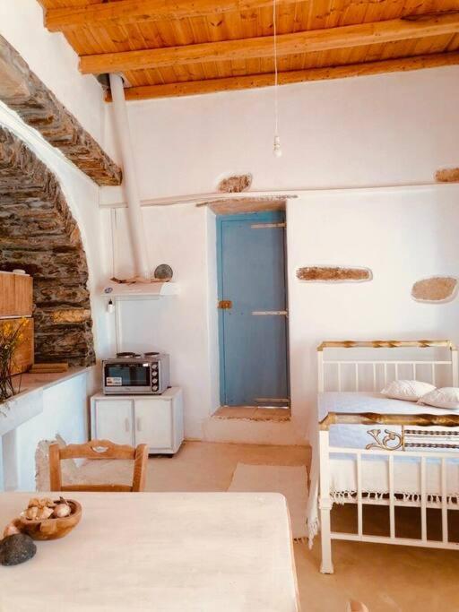 Appartement Naxos Mountain Retreat - Tiny House Build On Rock à Koronos Extérieur photo