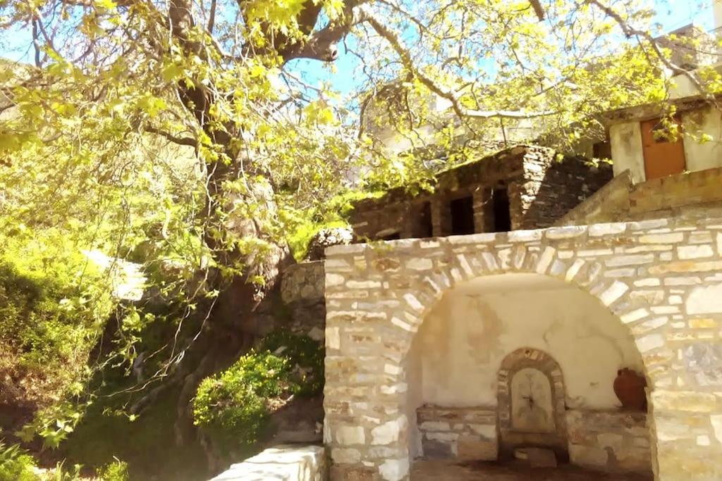 Appartement Naxos Mountain Retreat - Tiny House Build On Rock à Koronos Extérieur photo